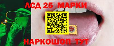 ALPHA PVP Когалым